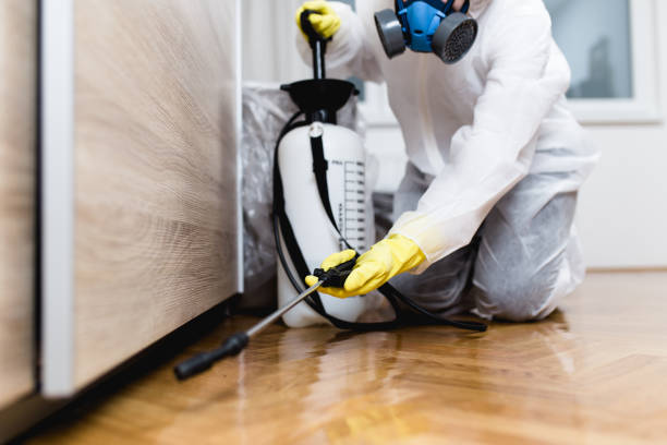 Best Wildlife Control Services  in Reidsville, GA