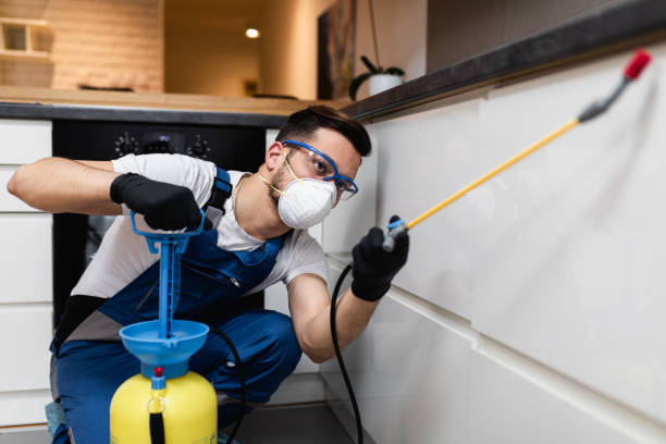 Best Affordable Pest Control Services  in Reidsville, GA