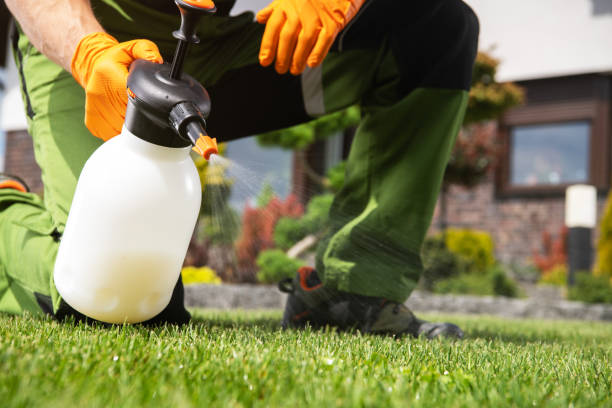 Best Best Pest Control Near Me  in Reidsville, GA