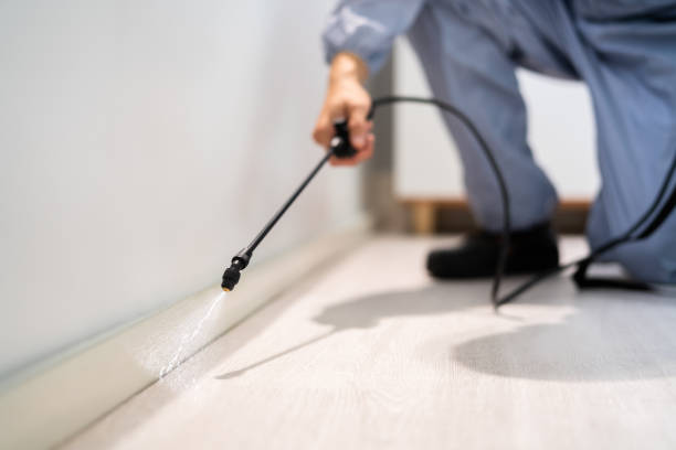 Best Flea Control Services  in Reidsville, GA