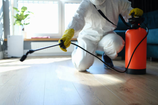 Pest Control Cost in Reidsville, GA