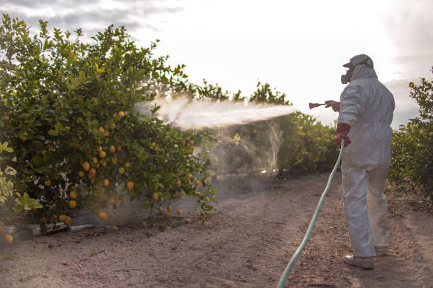 Insect Control in Reidsville, GA